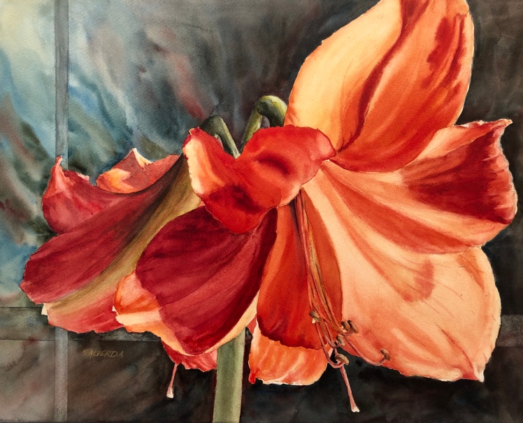 Red Splendor Amaryllis