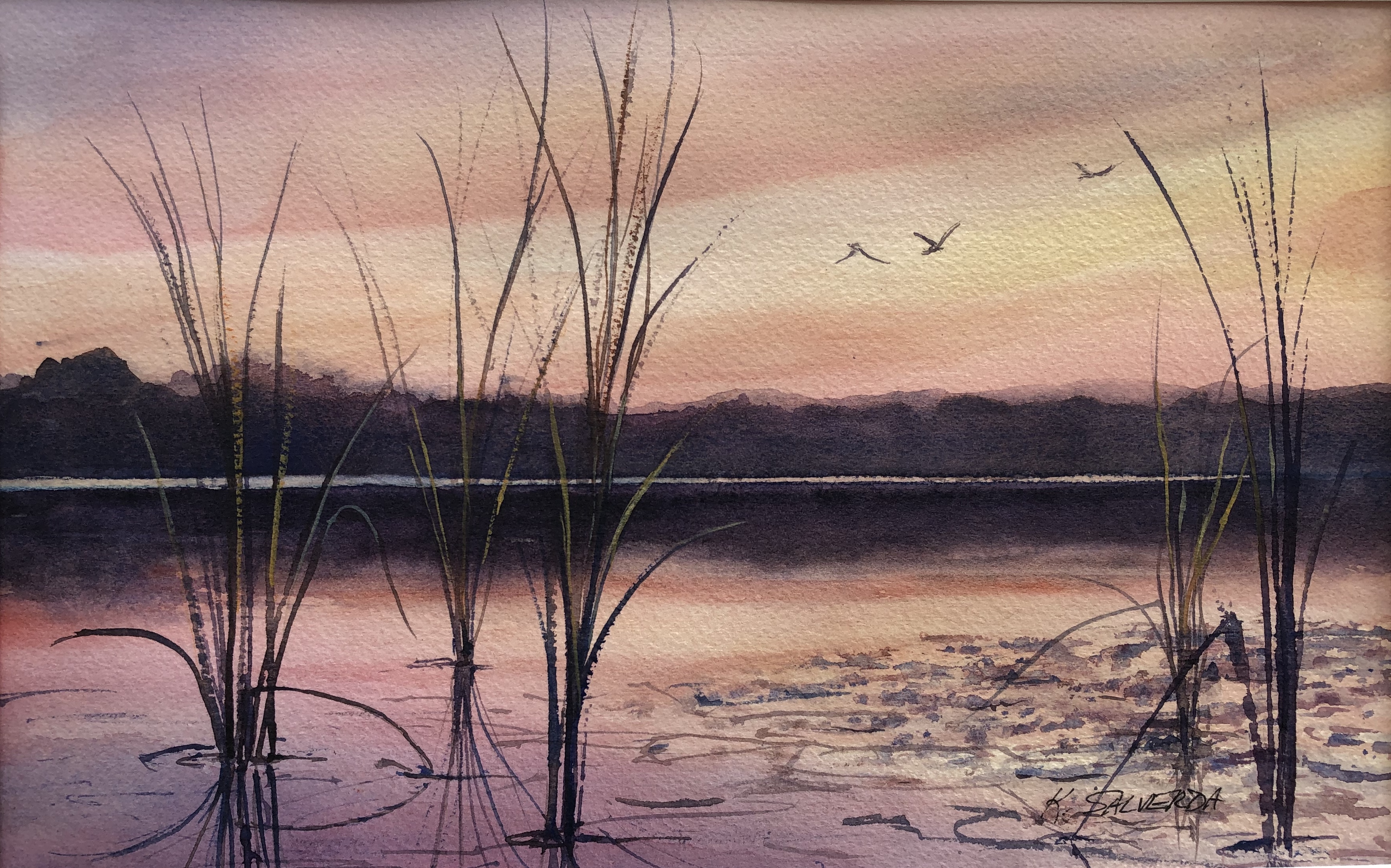 Sunset Evening Flight