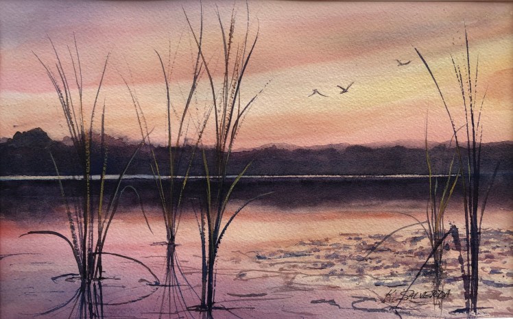 Sunset Evening Flight